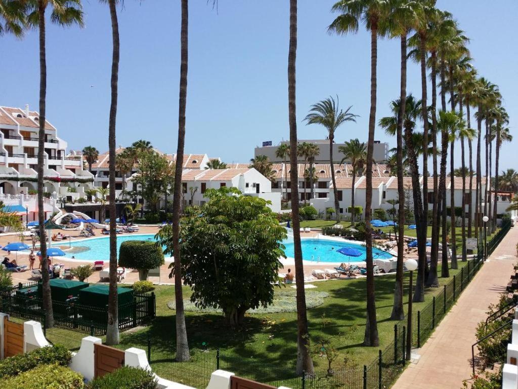 Estudio En Tenerife Sur, Parque Santiago 2 Арона Екстер'єр фото